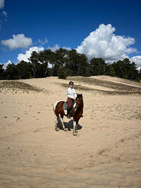 Bijrijder aangeboden/ Verzorgpaard- pony gezocht, Dieren en Toebehoren
