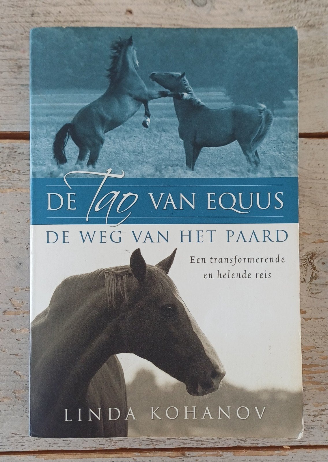 Linda Kohanov - De Tao van Equus **zeer zeldzaam**, Ophalen of Verzenden, Zo goed als nieuw, Paarden of Pony's, Linda Kohanov