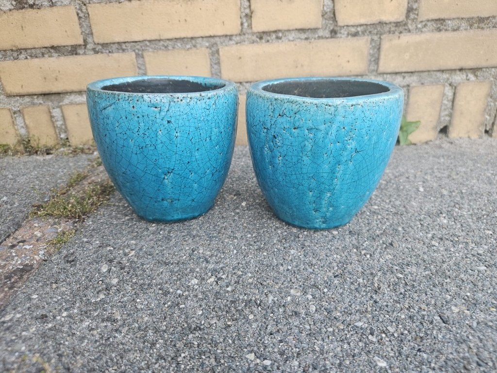 Bloempotten, Ophalen, Gebruikt, Rond, Binnen