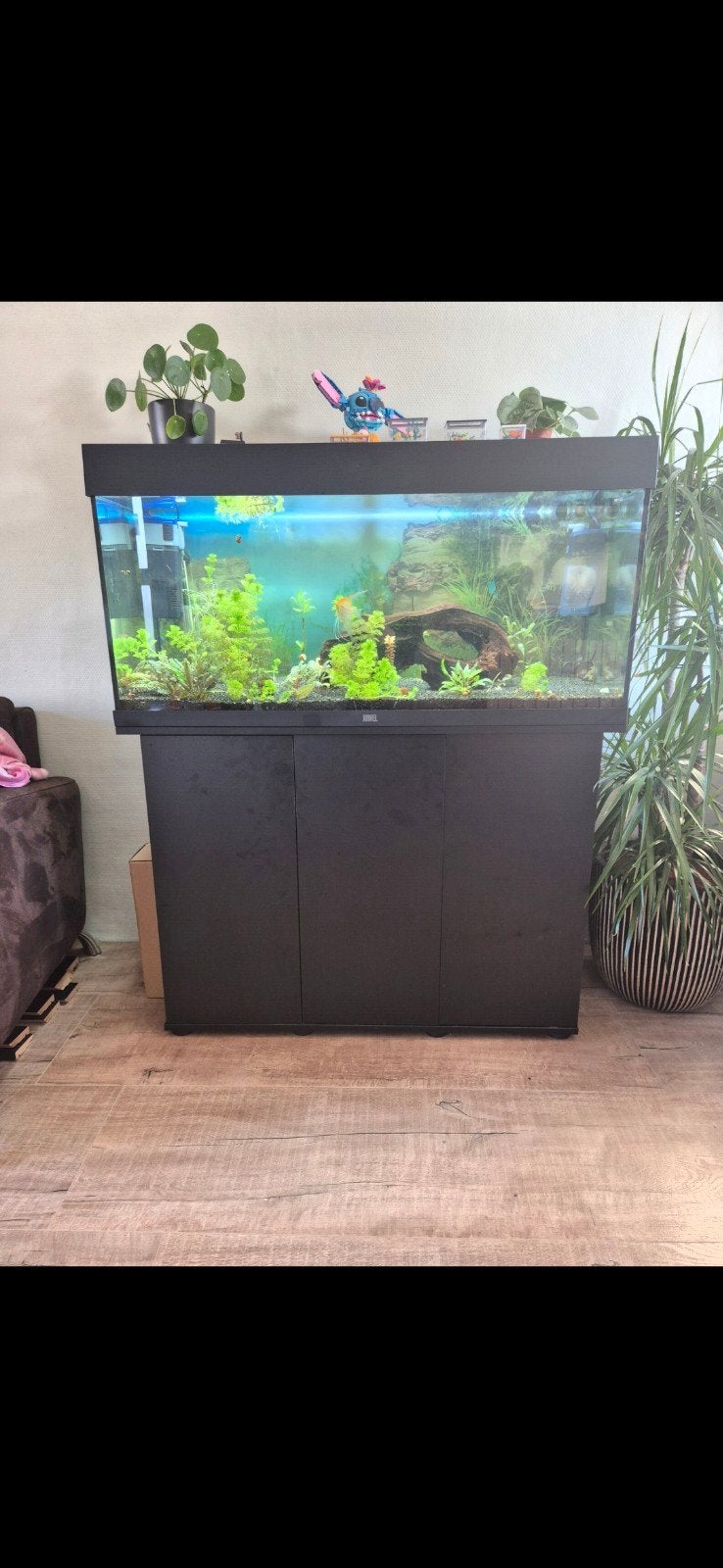 aquarium juwel rio 240 liter, Ophalen, Leeg aquarium