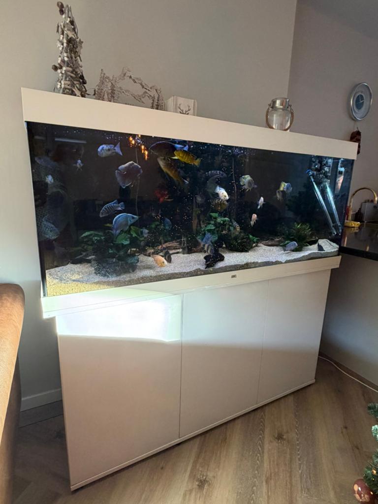 Juwel rio 450L Wit met Helialux Spectrum 1500, Dieren en Toebehoren, Ophalen, Gebruikt, Overige typen, Juwel