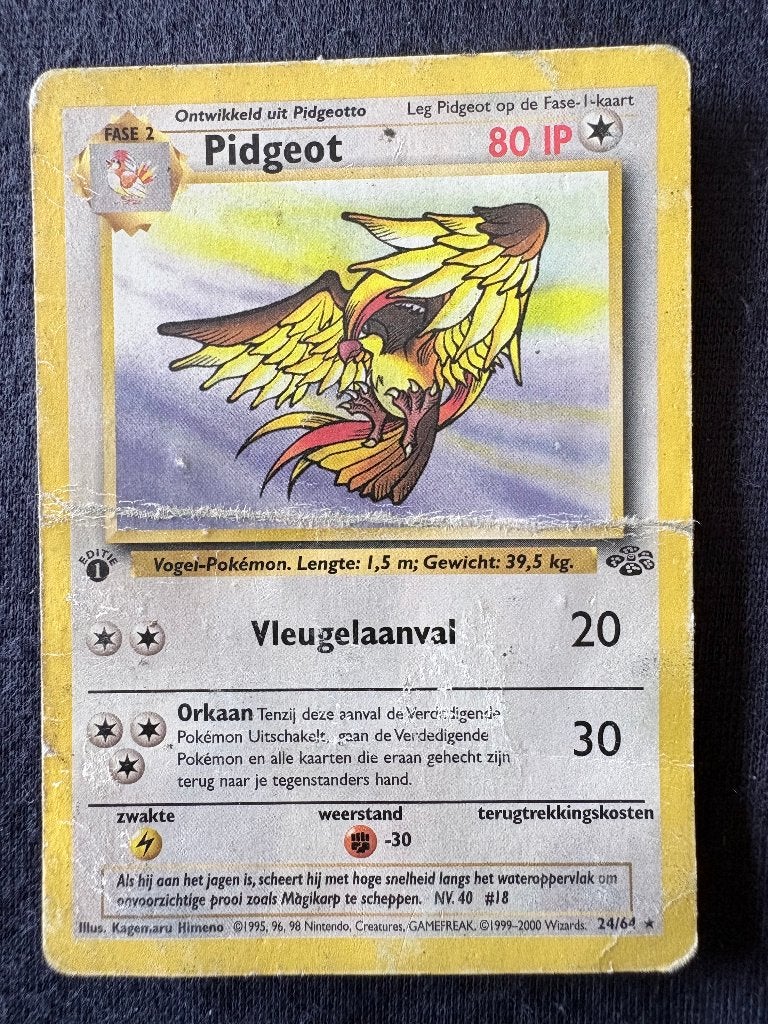 Pidgeot 1st Edition - Jungle 24/64 - Played, Ophalen of Verzenden, Zo goed als nieuw, Losse kaart