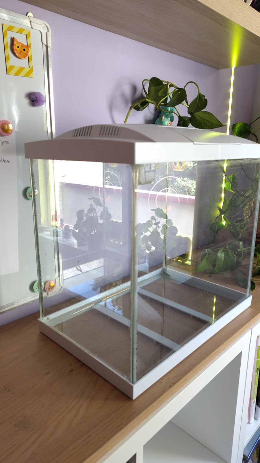 Aquarium SuperFish - 50 liter, Dieren en Toebehoren, Ophalen, Gebruikt, Inclusief deksel, Leeg aquarium
