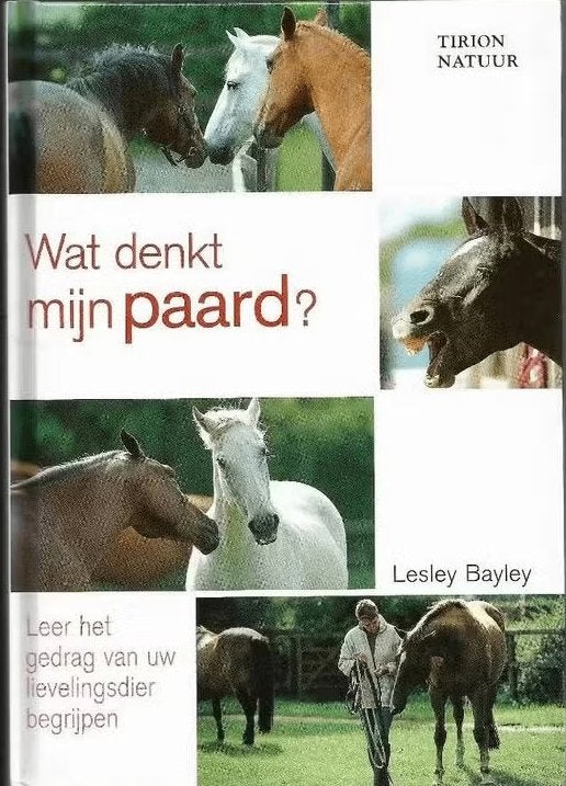 Wat denkt mijn paard - Lesley Bayley, Ophalen of Verzenden, Nieuw, Paarden of Pony's