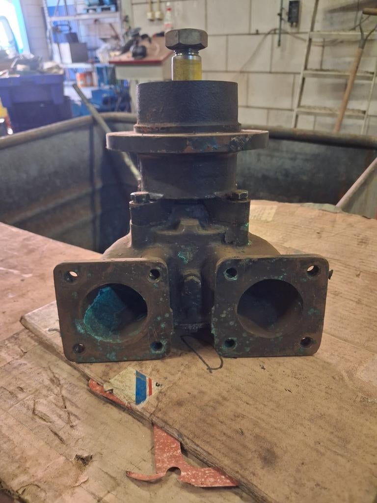 Zoutwaterpomp DAF, Doe-het-zelf en Verbouw, Motoren, Ophalen of Verzenden, Elektromotor