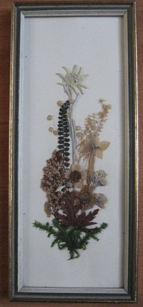 Oud schilderijtje met droogbloemen en edelweiss, Vintage, Ingelijst, Ophalen, Bloemen