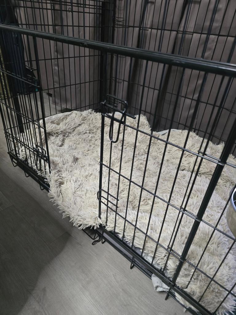 XXL bench, Dieren en Toebehoren, Hondenhokken, Ophalen of Verzenden, 110 cm of meer, 65 tot 100 cm