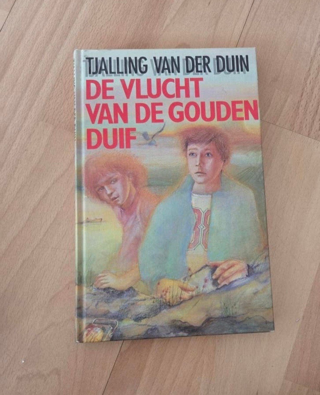 Tjalling van der Duin - De Vlucht Van De Gouden Duif, Ophalen of Verzenden, Zo goed als nieuw