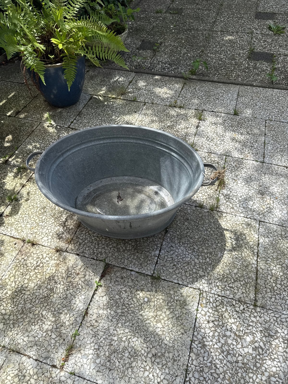 Grote zinken teil / wastobbe voor tuin of decoratie, Ophalen of Verzenden