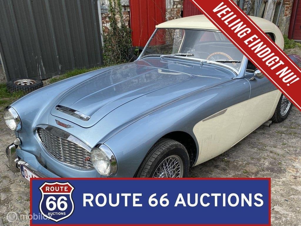 Austin-Healey 100-6 BN4 | 1957 | Route 66 Auctions, Auto's, Austin, Overige carrosserieën, Zwart, Bedrijf