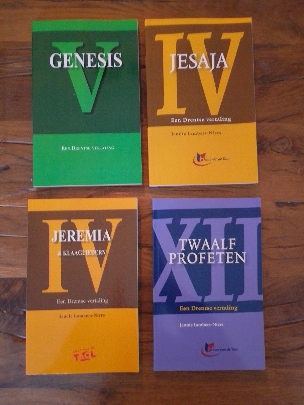 Bijbelboeken in Drentse vertaling, Boeken, Ophalen of Verzenden, Zo goed als nieuw, Jennie Lambers-Niers, Christendom | Katholiek