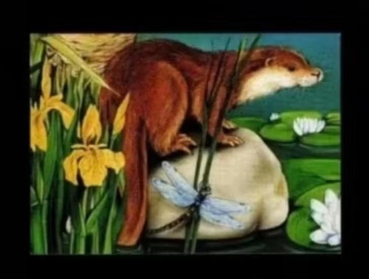 Otter Libelle Gele Lis Waterlelie., Ophalen of Verzenden, 1980 tot heden, Ongelopen, Waterdier