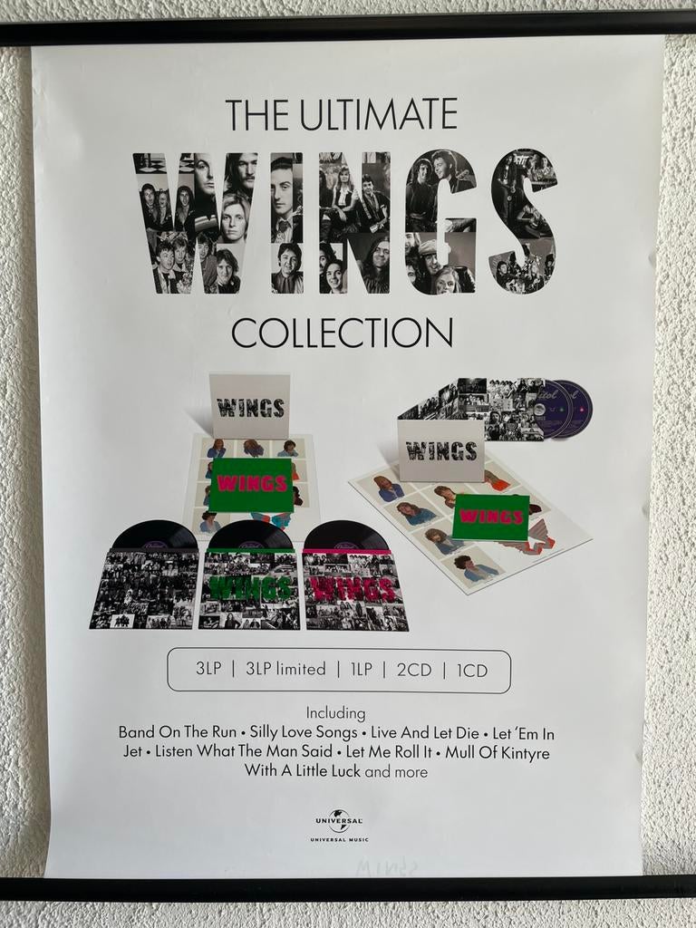 Poster ‘’ WINGS ‘’ 50x70 cm, Ophalen of Verzenden, Zo goed als nieuw, Poster, Artwork of Schilderij