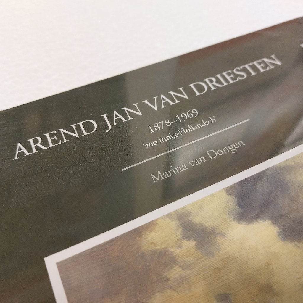 Arend Jan van Driesten BOEK NIEUW GESEALED Marina van Dongen, Verzenden, Nieuw, Schilder- en Tekenkunst