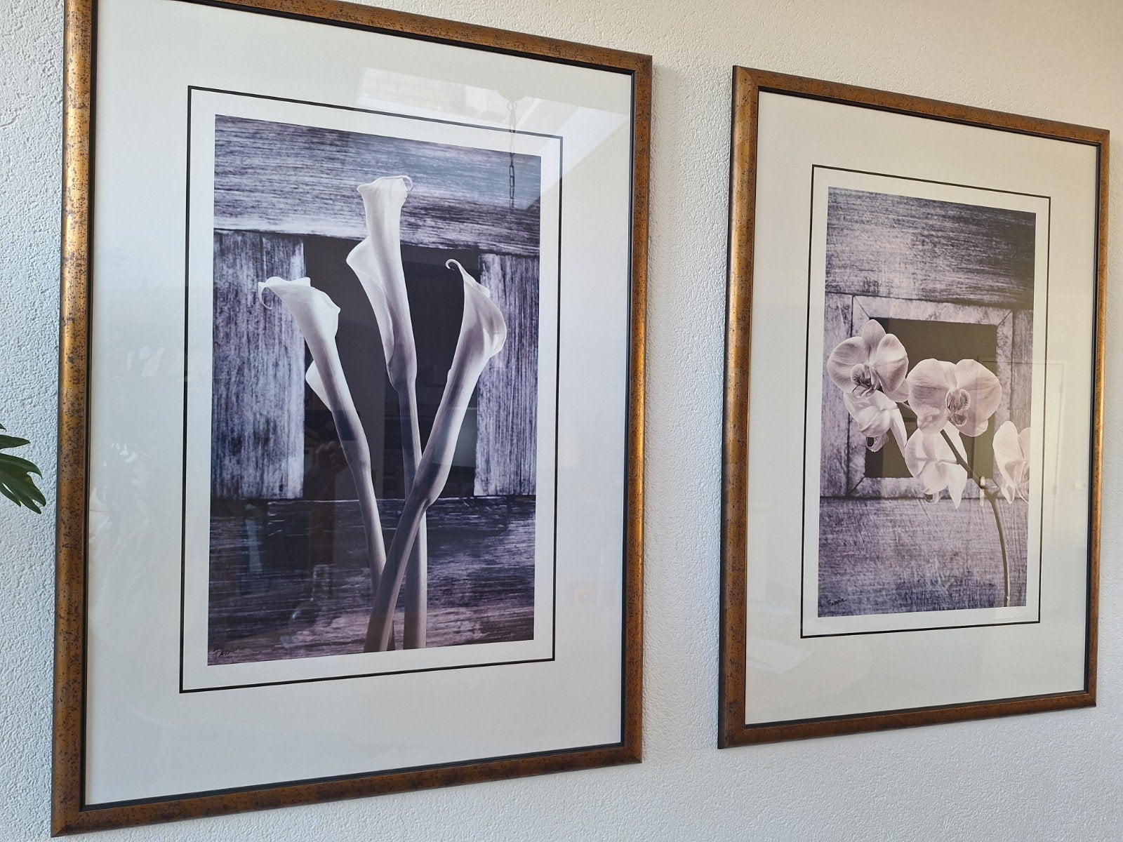 Gratis af te halen. Set van 2 ingelijste bloemenprints, Ophalen, 75 tot 100 cm, 75 – 100, Print
