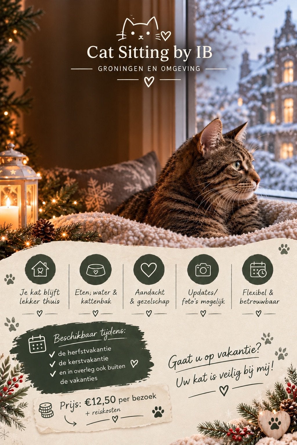 Cat sitting Groningen, Dieren en Toebehoren, Ophalen, Zo goed als nieuw