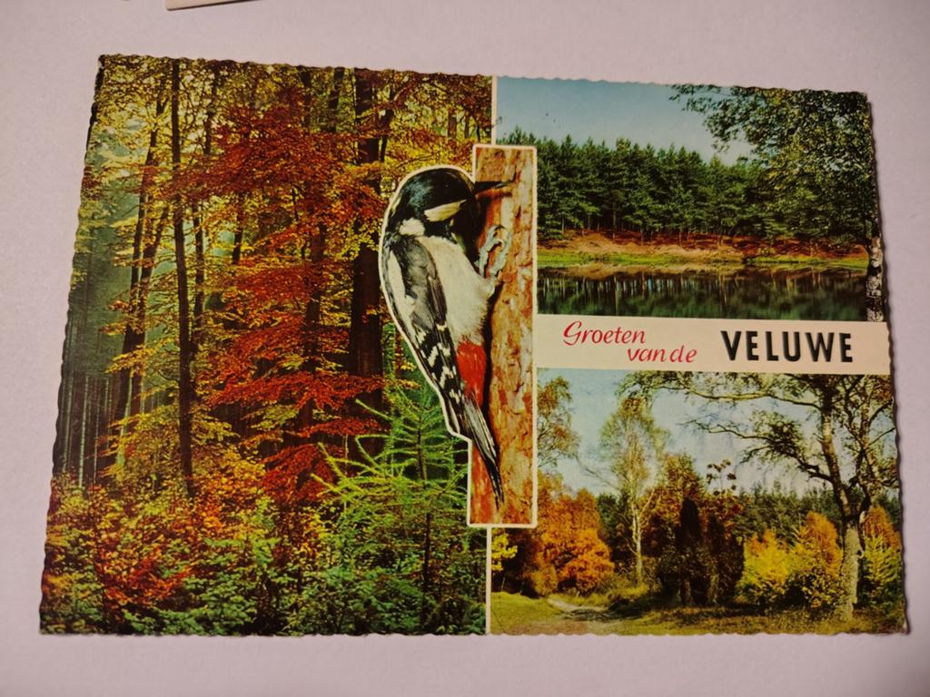 Hattem, Ophalen of Verzenden, 1940 tot 1960, Gelderland
