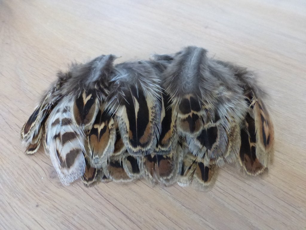 Vogel veren / fazant veren 1 / veertjes, Hobby en Vrije tijd, Knutselen, Ophalen of Verzenden, Nieuw, Natuurlijk materiaal, Knutselmateriaal