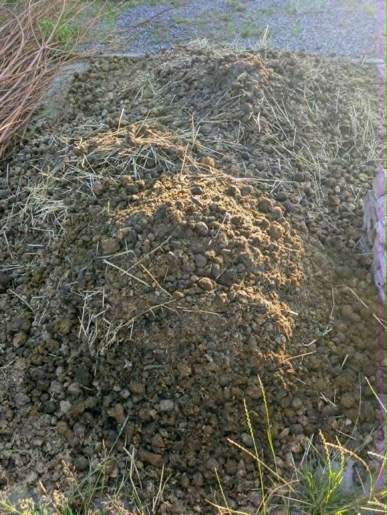 Gratis paardenmest - gratis gebracht in gemeente Woensdrecht, Tuin en Terras, Aarde en Mest, Ophalen, Mest