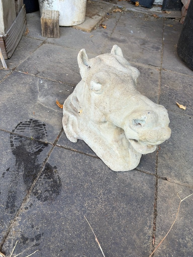 Paardenhoofd, Ophalen, Gebruikt, Beton, Dierenbeeld