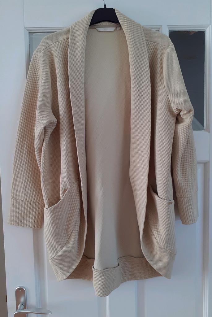 Didi crèmekleurig vest in nieuwstaat maat L, Kleding | Dames, Beige, Maat 42/44 (L), Didi, Ophalen of Verzenden