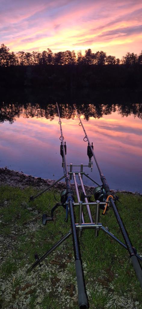 PROLINE mini Boss pod. Compact 3 rods, Ophalen of Verzenden, Overige typen