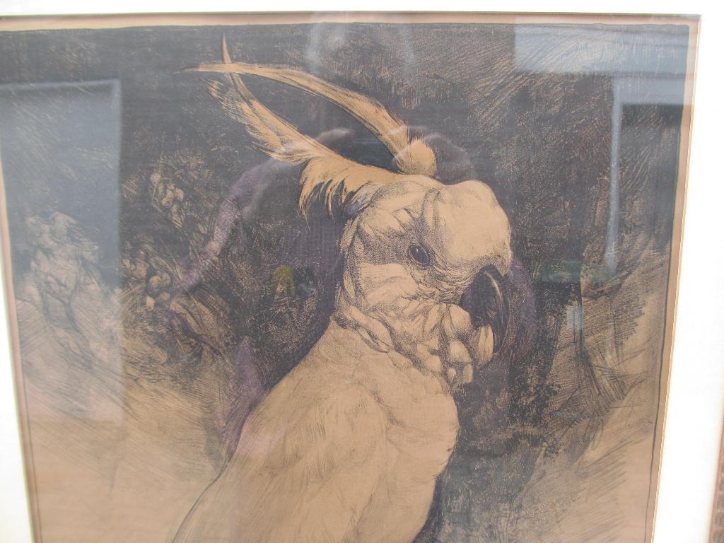 Litho KAKETOE Adriaan van 't Hoff 1923, Ophalen of Verzenden