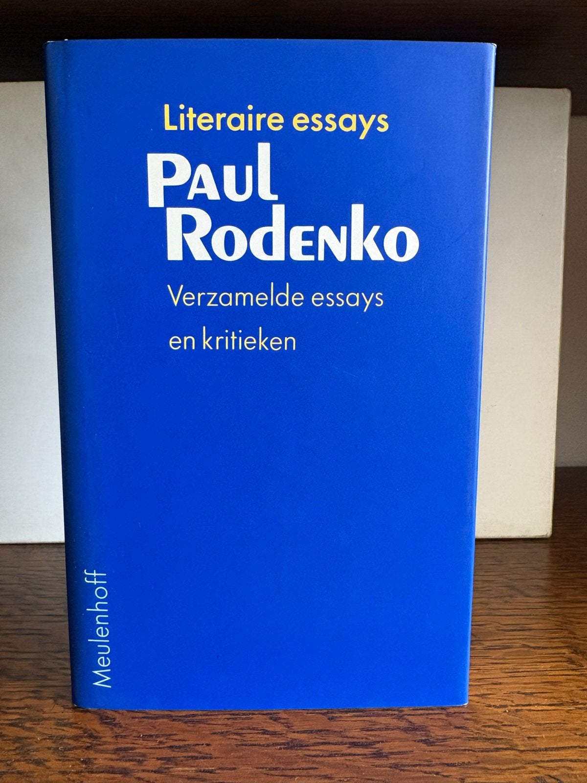 Paul Rodenko - Verzameld essays en kritieken, Boeken, Ophalen of Verzenden, Gelezen, Nederland