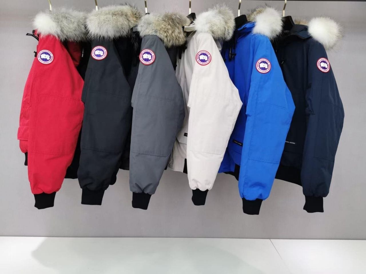 Canada Goose bomber winterjassen, Ophalen of Verzenden, Nieuw