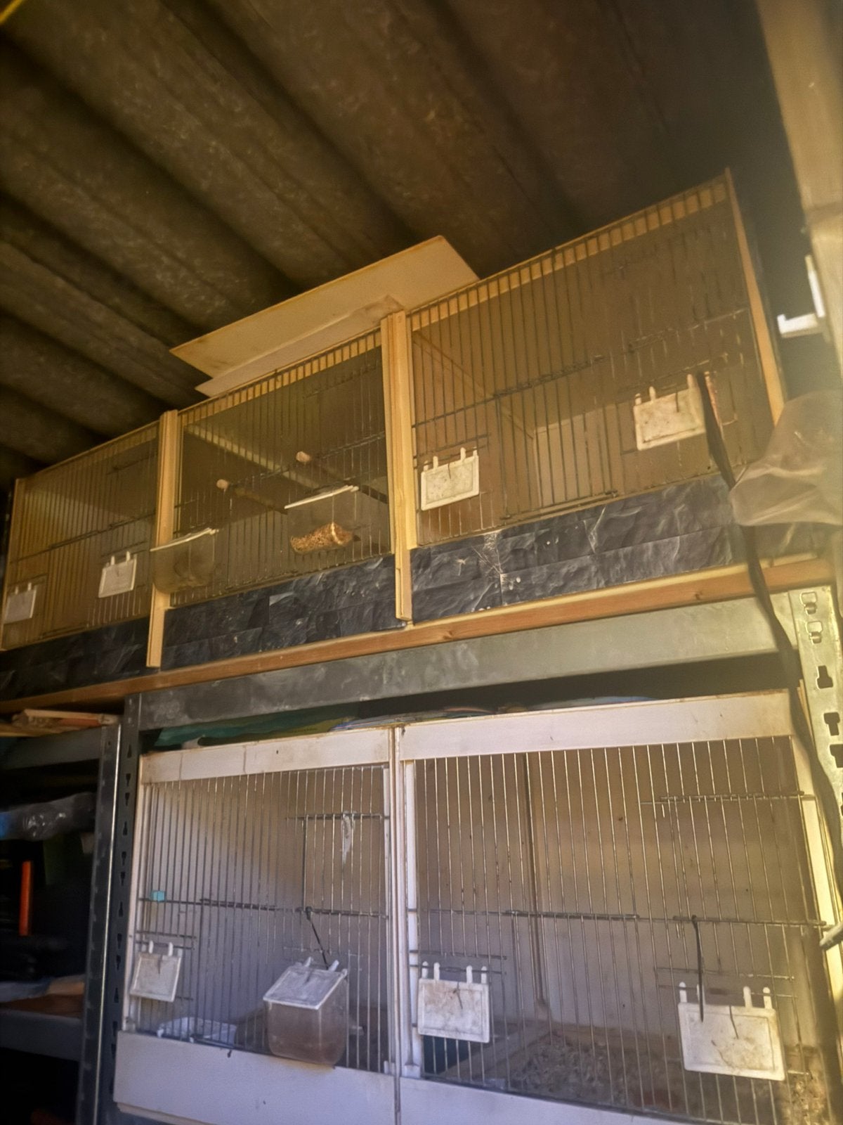Broedkooien, Dieren en Toebehoren, Ophalen of Verzenden, Zo goed als nieuw, Hout, Broedkooi of Kweekkooi