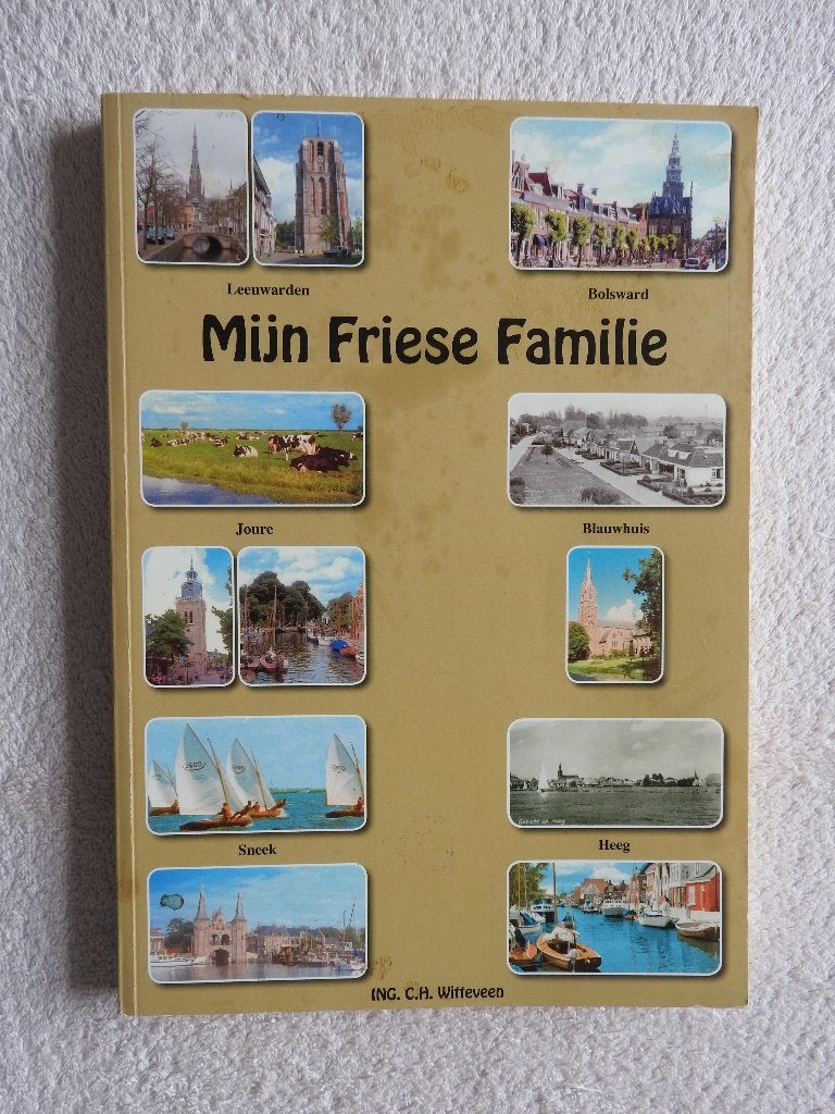 Mijn Friese Familie - Fam Witteveen - Bolsward Joure Heeg, Ophalen of Verzenden, Zo goed als nieuw