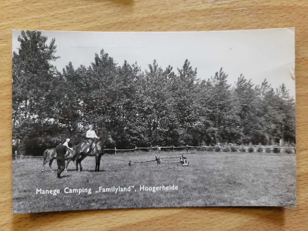 ansicht HOOGERHEIDE Familyland, Verzenden, Voor 1920, Noord-Brabant