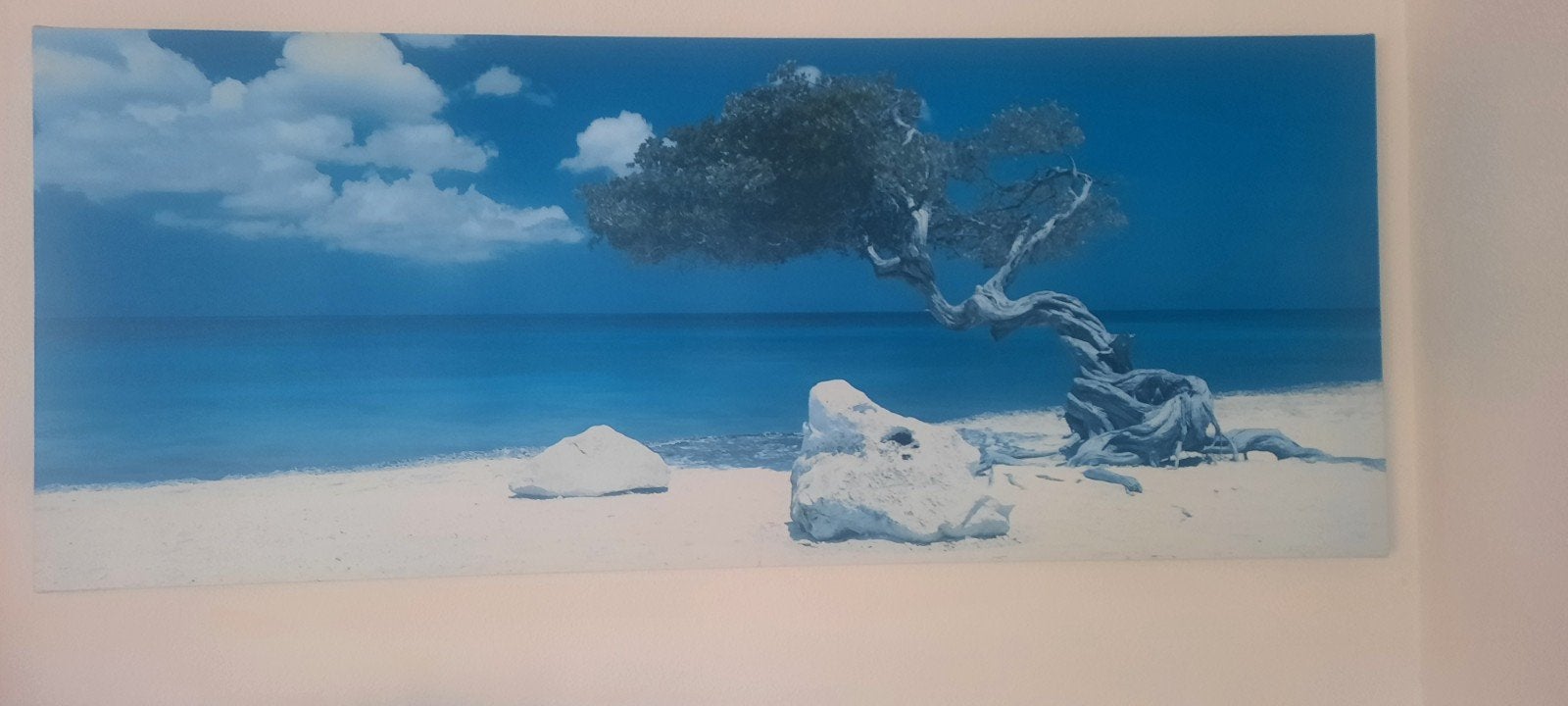 Schilderij strand met boom en zee, Ophalen, 50 – 75, 125 cm of meer, Zo goed als nieuw