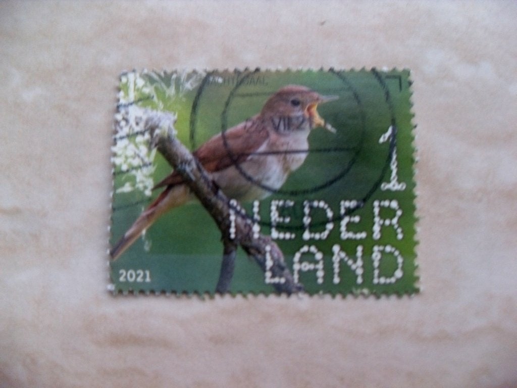 Nederland 2021., Ophalen of Verzenden, Gestempeld