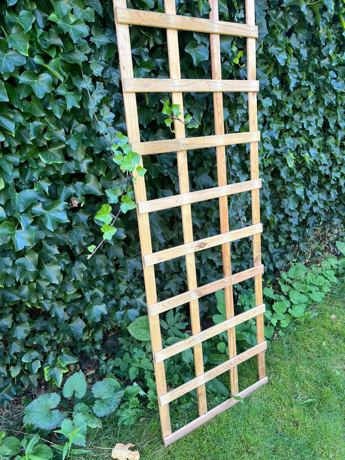 Trellis rek klimplanten (4 stuks €10,- ps), Ophalen of Verzenden, Zo goed als nieuw