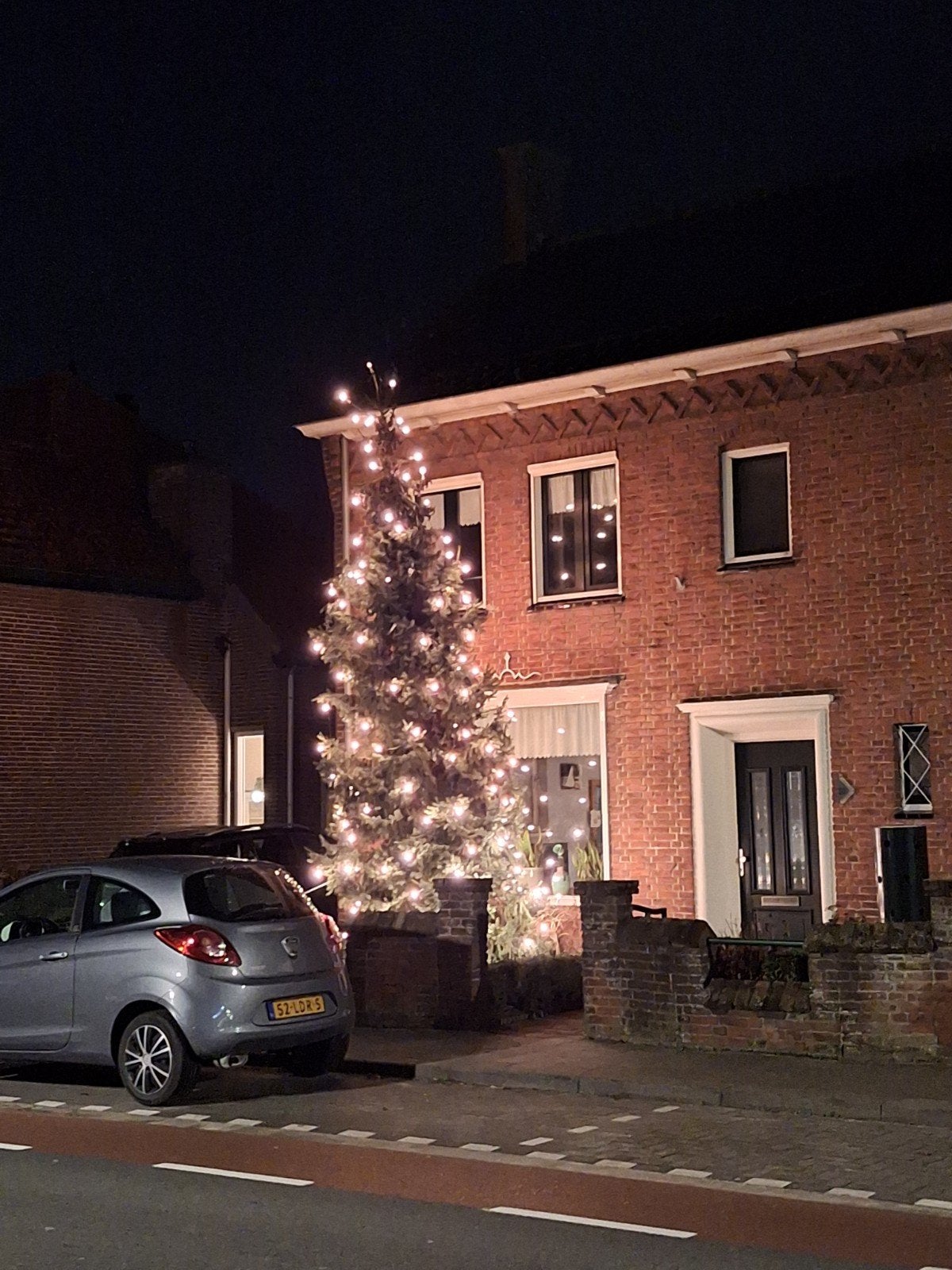 gezocht grote kerstboombpom en coniferen groen, Ophalen, Bloeit niet, Overige soorten, Volle zon
