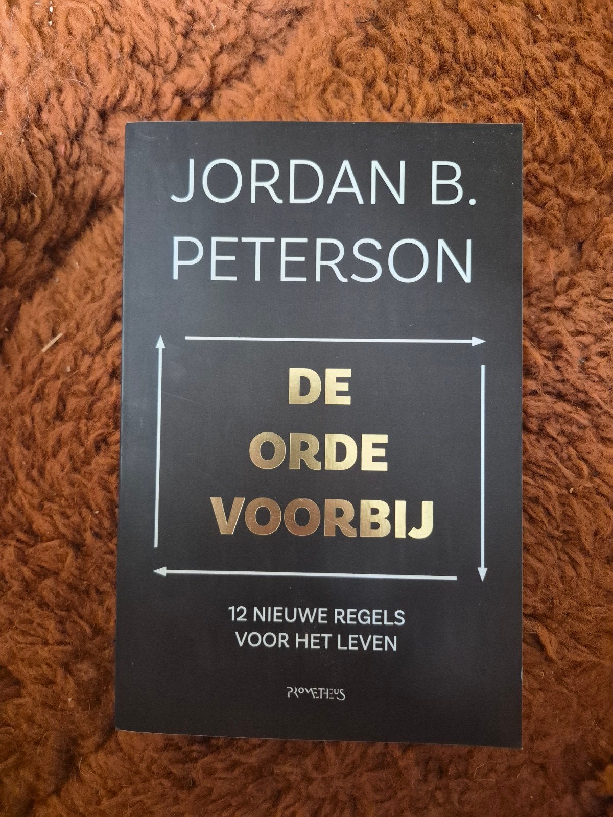 Jordan Peterson - De orde voorbij, Ophalen of Verzenden, Zo goed als nieuw, Jordan Peterson