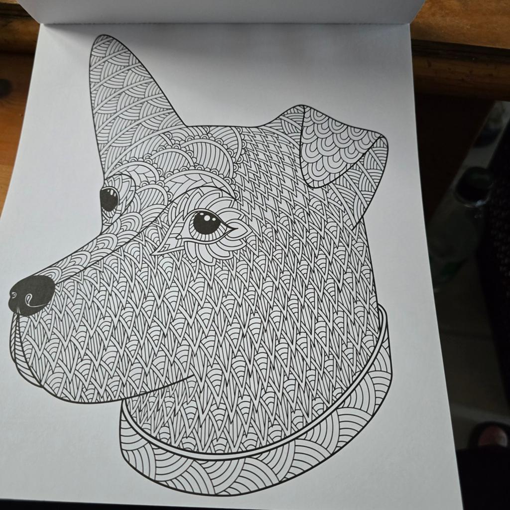 Kleur! De mooiste Ontwerpen - Kleurboek voor volwassenen, Hobby en Vrije tijd, Denksport en Puzzels, Ophalen of Verzenden, Zo goed als nieuw