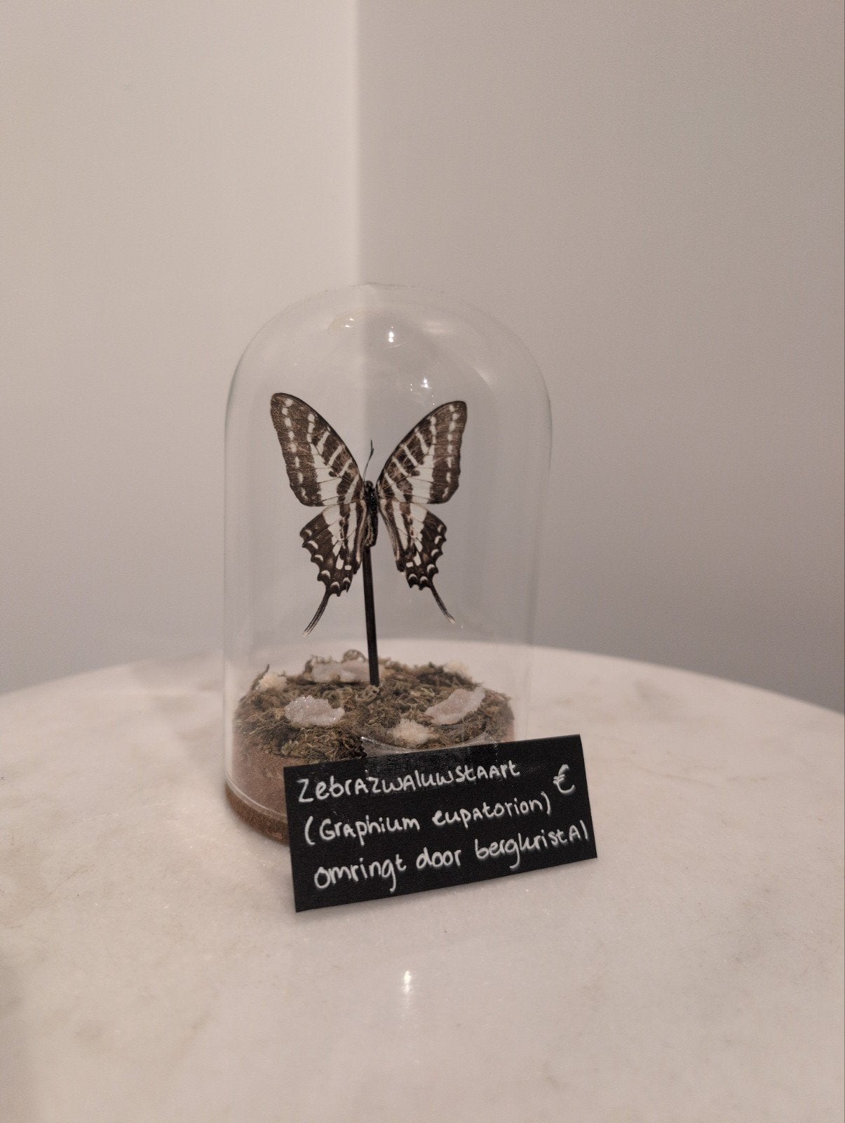 Prachtige Zebrastaartvlinder in stolp met bergkristal, Huis en Inrichting, Onbekend, Ophalen of Verzenden, Zo goed als nieuw, Inclusief decoratie