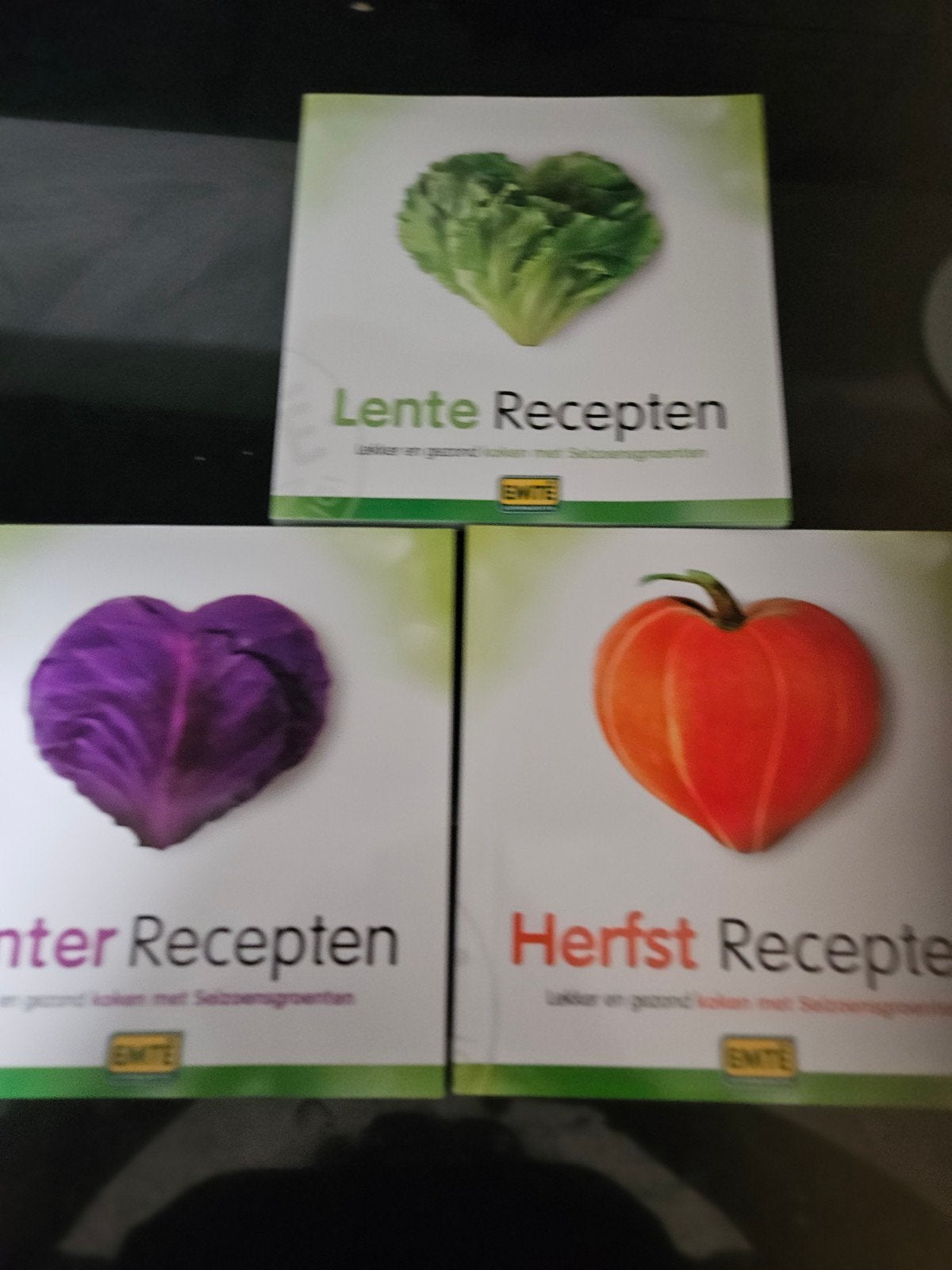 EMTE Receptenboekjes: Lente, Herfst, Winter, Ophalen of Verzenden, Zo goed als nieuw, Hoofdgerechten, Gezond koken
