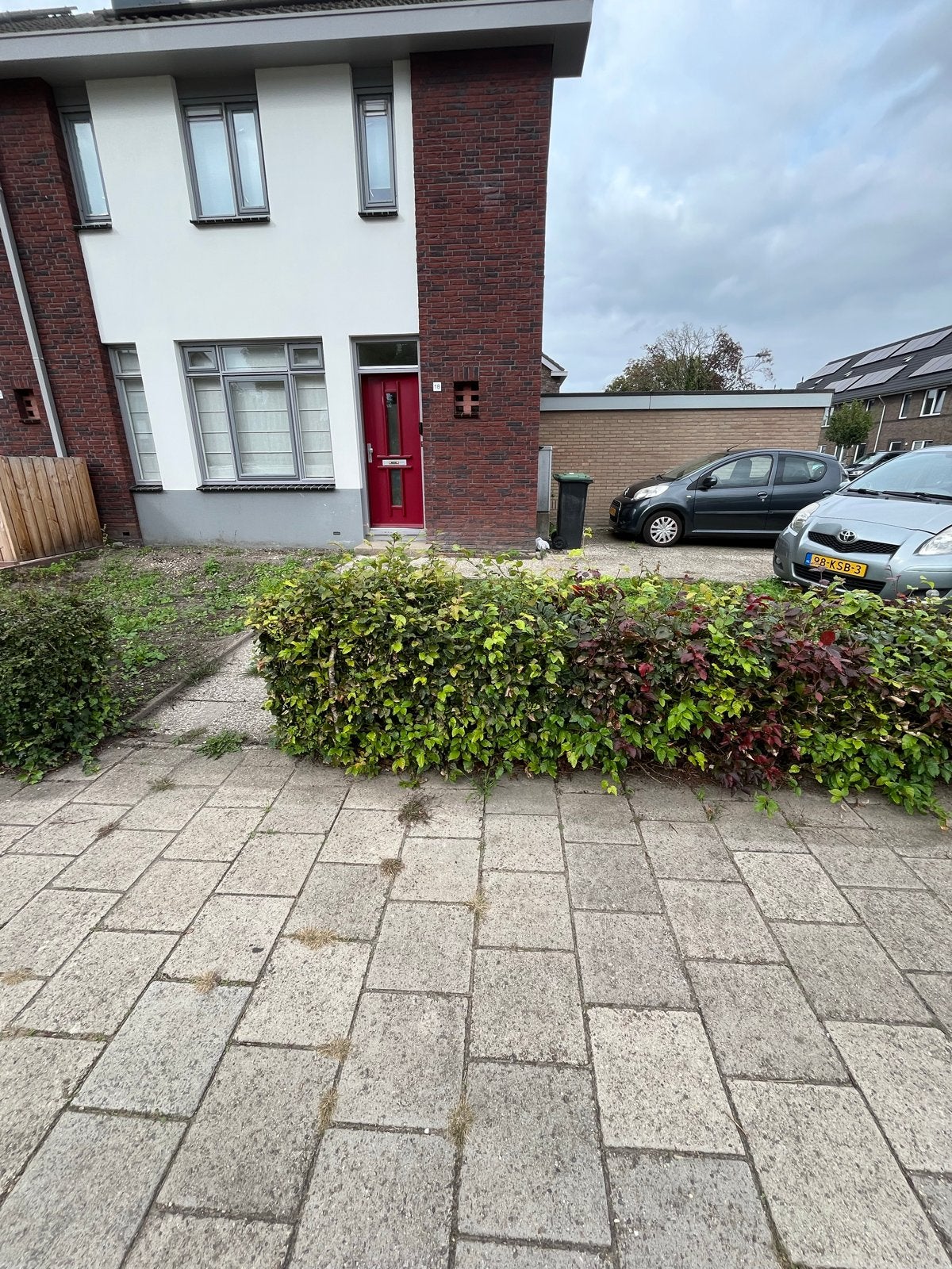 Struik/heg gratis af te halen, Ophalen, Overige soorten, Struik, Minder dan 100 cm