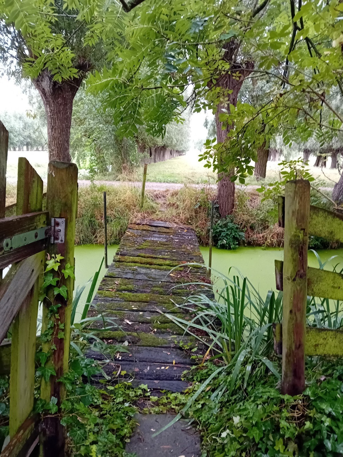 Oer landje met schuurtje te huur, Tuin en Terras, Tuinhuizen, Ophalen of Verzenden, Hout, Schuur