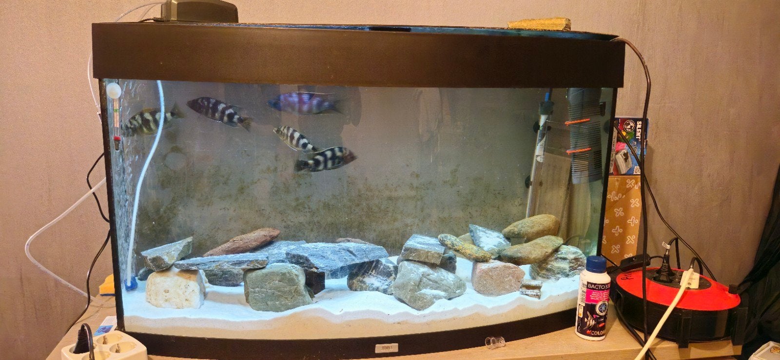 groot aquarium juwel 180 met pomp en bodemgrond en hout, Ophalen, Gebruikt, Leeg aquarium, Inclusief controller