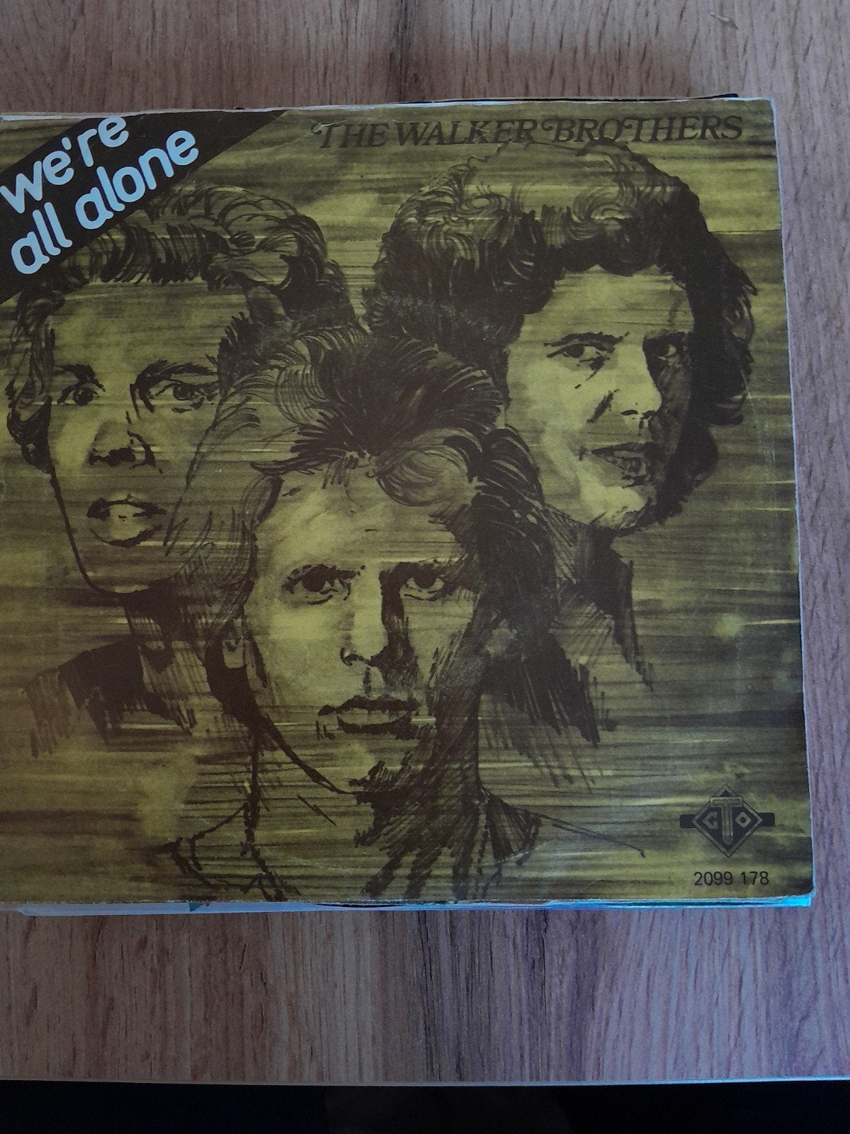 the walker brothers 7inch we re all alone, Cd's en Dvd's, Ophalen of Verzenden, Zo goed als nieuw, Pop