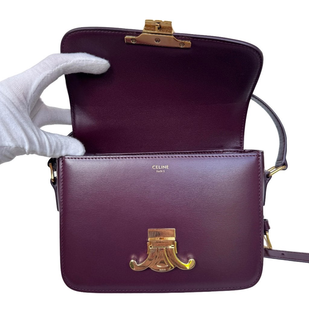 Celine triomphe teen crossbody tas designer authentiek hand image 8