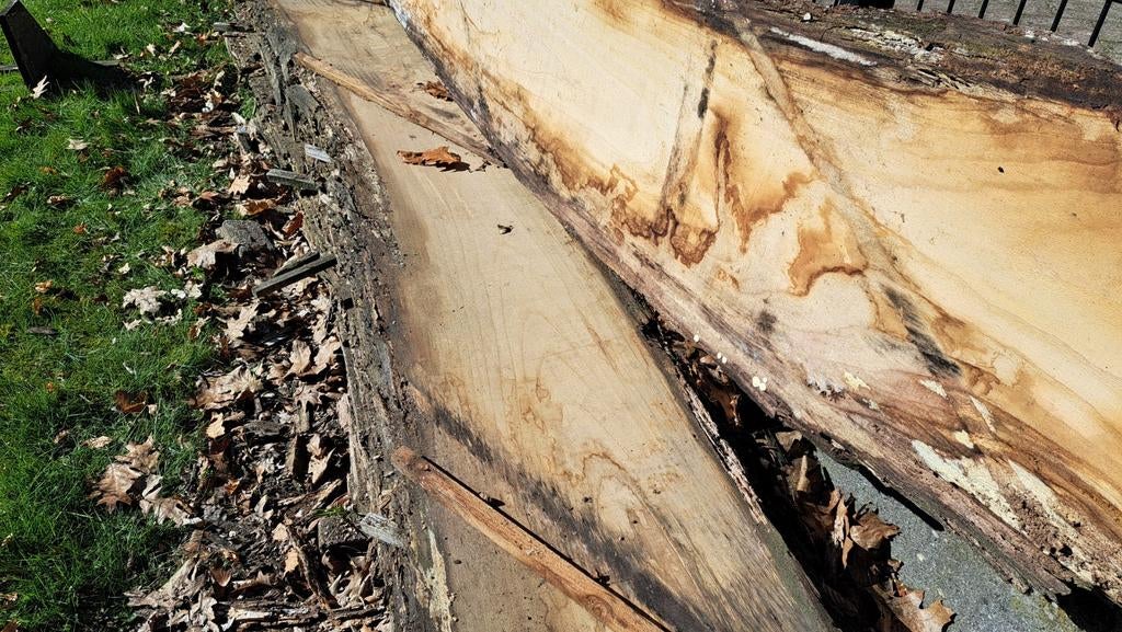 Boomstamplanken AM EIK  5cm dik 4m lang 44cm breed, Ophalen, Eiken, Plank, 50 mm of meer