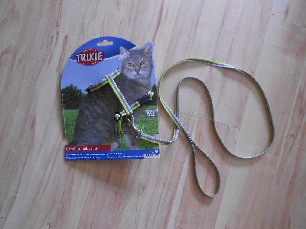 kattentuigje, Dieren en Toebehoren, Ophalen, Zo goed als nieuw
