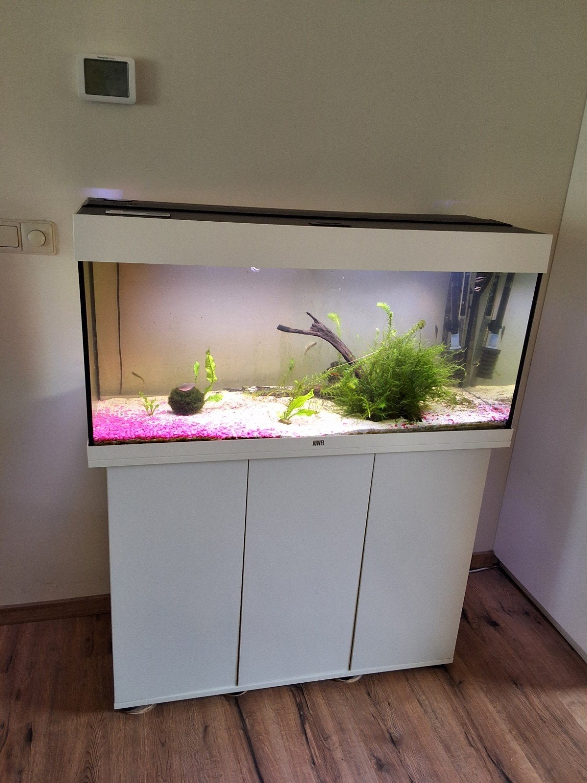 Aquarium Jewel Rio 180, Ophalen, Gebruikt, Inclusief vissen, Gevuld zoetwateraquarium