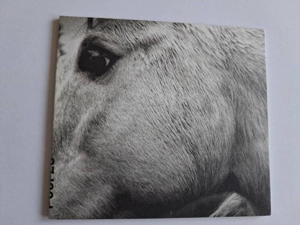 Bonny Light Horseman - Bonny Light Horseman, Ophalen of Verzenden, Gebruikt, Overige genres