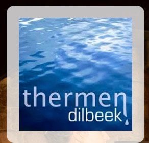 Dagentree Thermen Dilbeek in België, Ophalen of Verzenden, Zo goed als nieuw, Overige typen